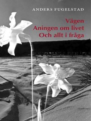 cover image of Vägen Aningen om livet Och allt i fråga